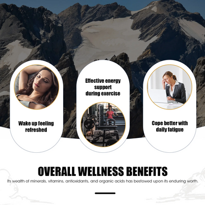 4-in-1 Shilajit Resin Supplement – 85+ Trace Minerals,