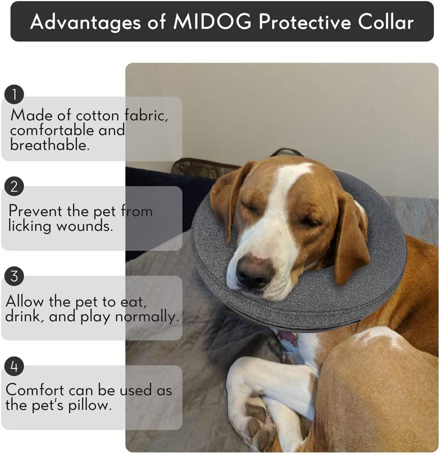 Dog Cone Collar - Grey, X-Large