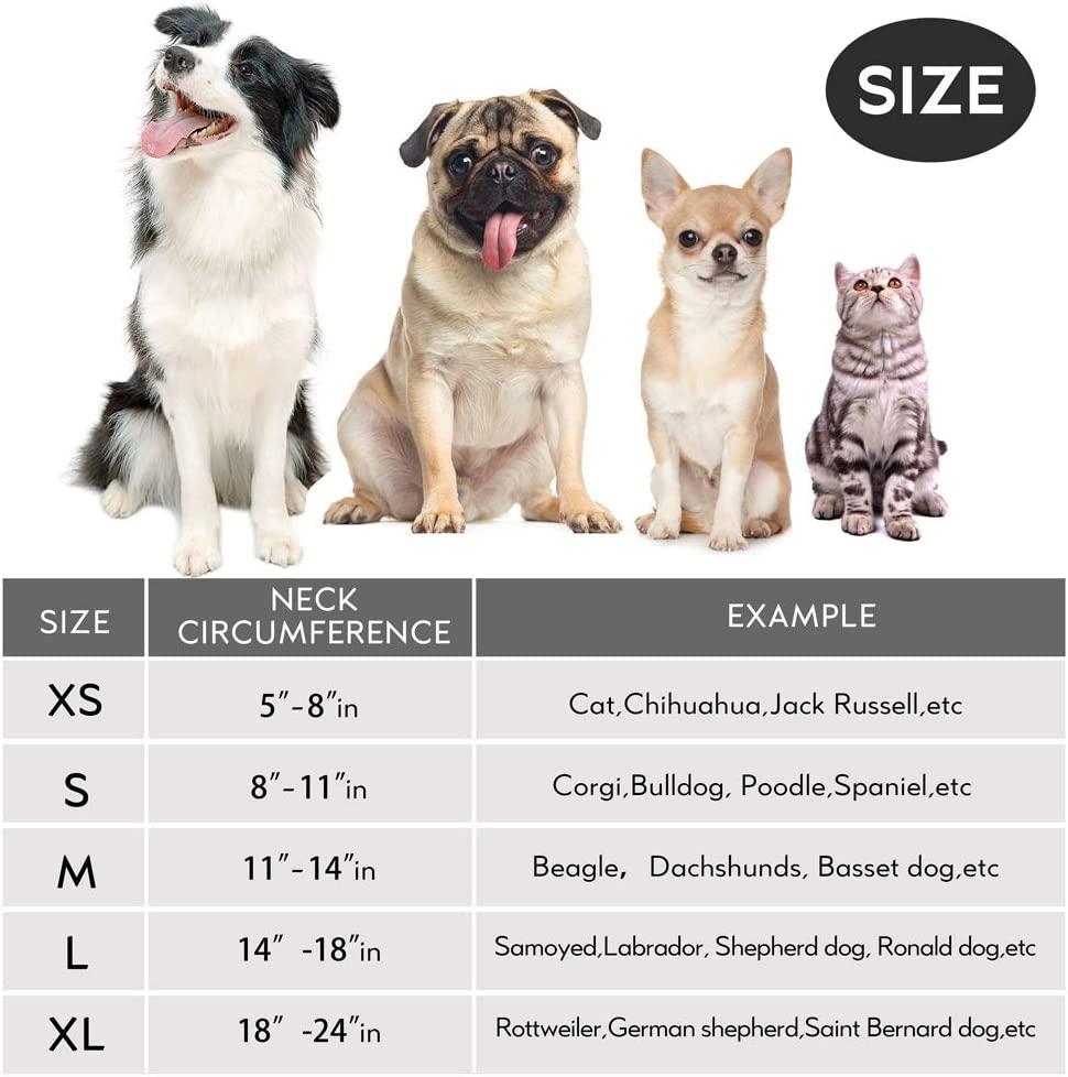 Dog Cone Collar - Grey, X-Large