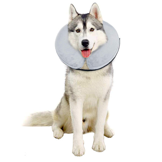 Inflatable Dog Collar - Gray, X-Large