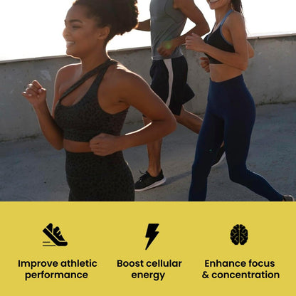 UpNourish Creatine Monohydrate