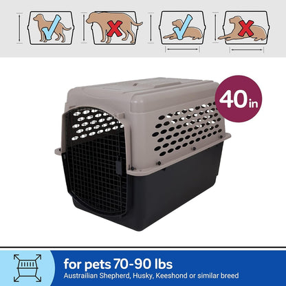 Vibrant Life Pet Kennel Large 40" Dog Crate, Plastic