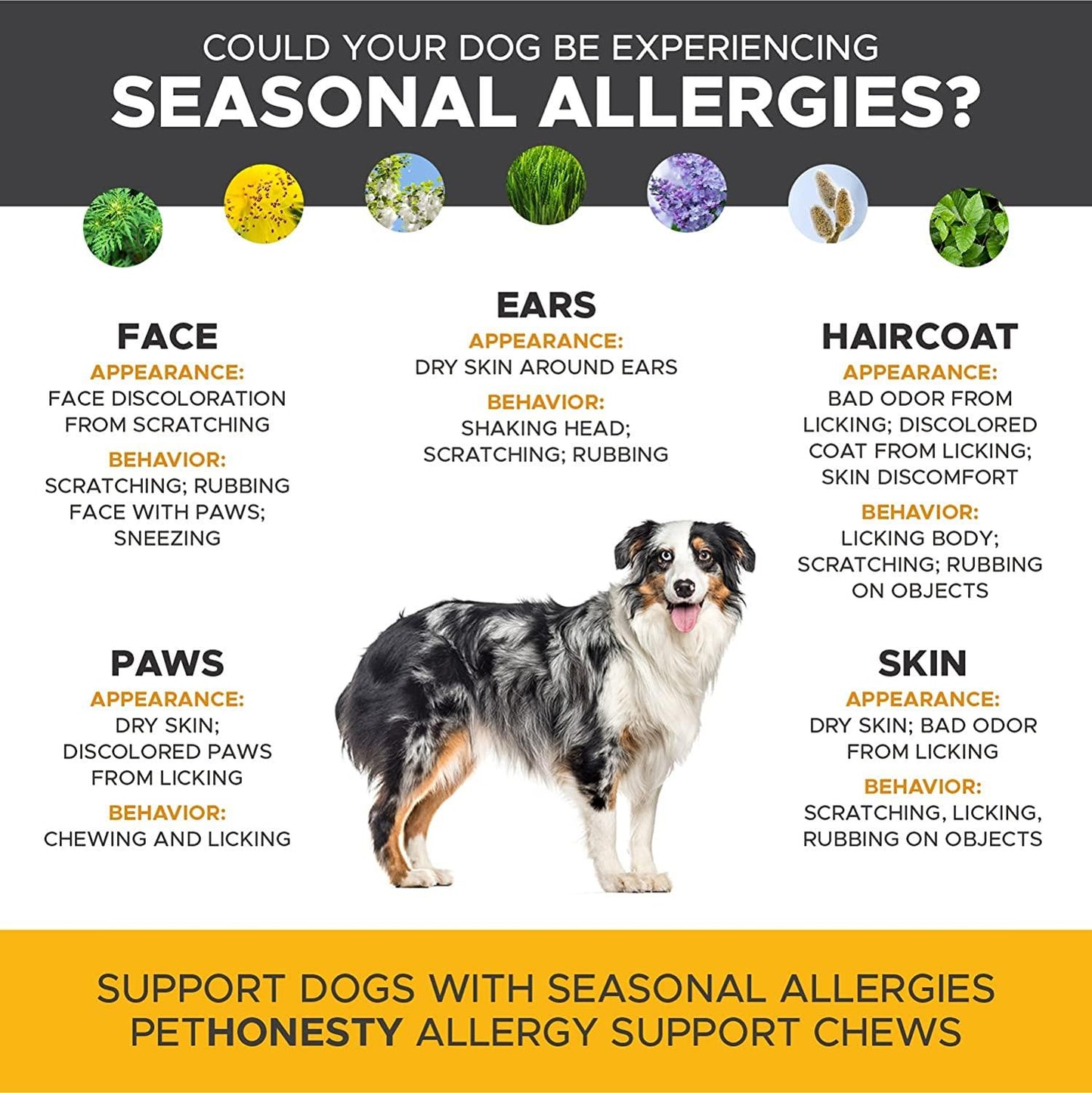 Dog Allergy Relief Chews - Salmon