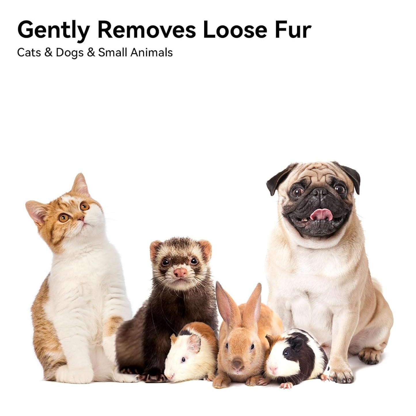 Cat Brush - Self-Cleaning for Short & Long Hair