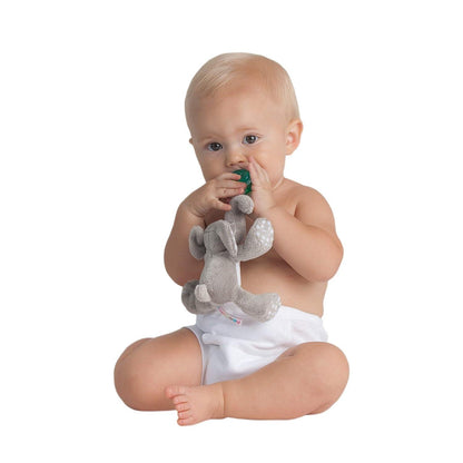 Paci-Plushies - Ella the Elephant