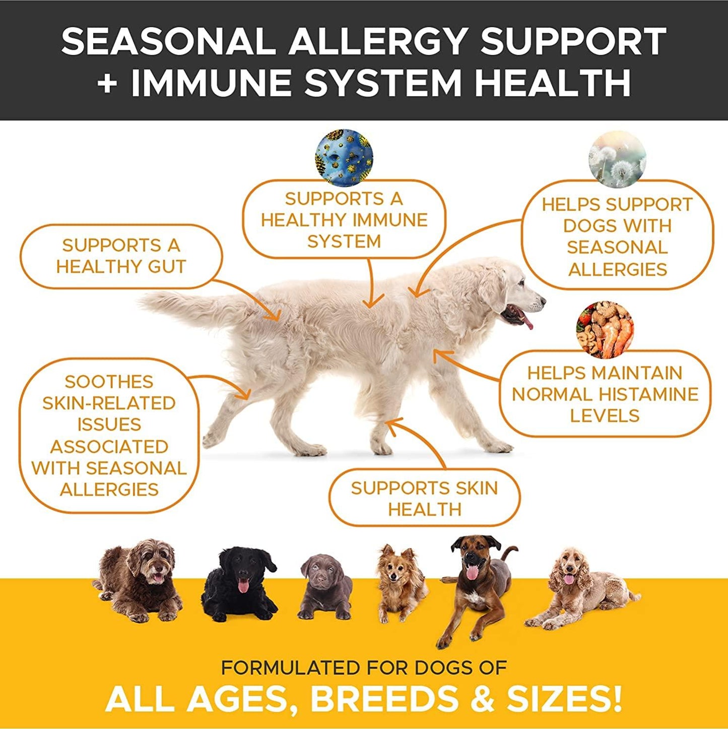 Dog Allergy Relief Chews - Salmon