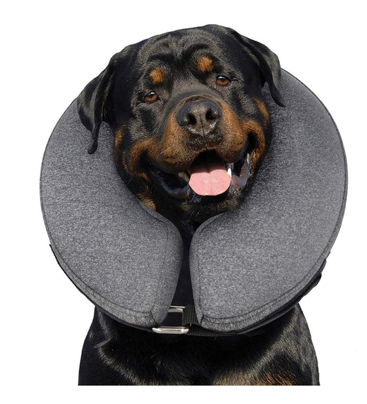 Dog Cone Collar - Grey, X-Large