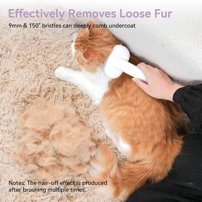 Cat Brush - Self-Cleaning for Short & Long Hair