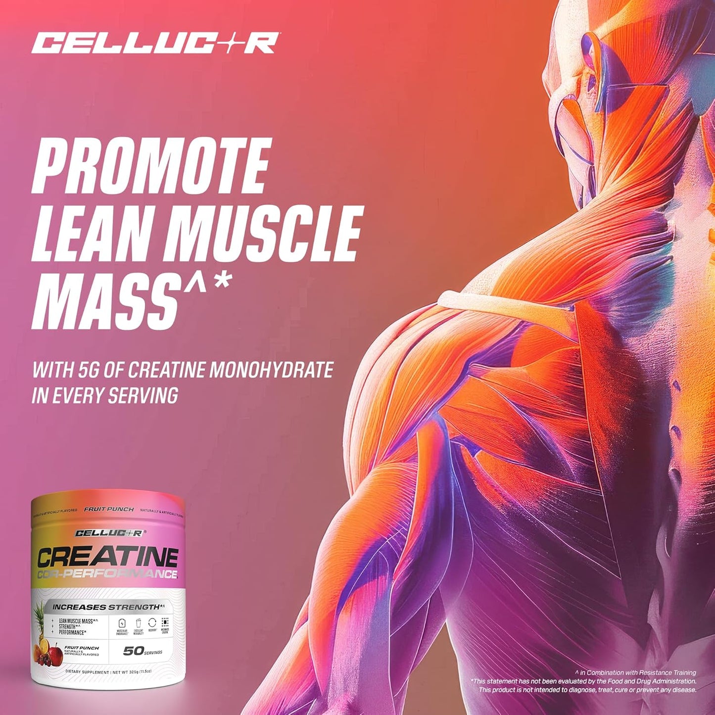 Cellucor Creatine Powder, 50 Fruit Punch