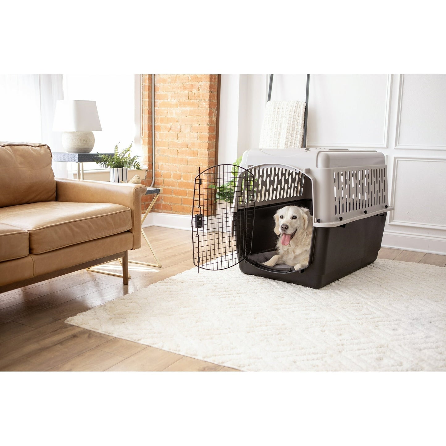 Vibrant Life Pet Kennel Large 40" Dog Crate, Plastic