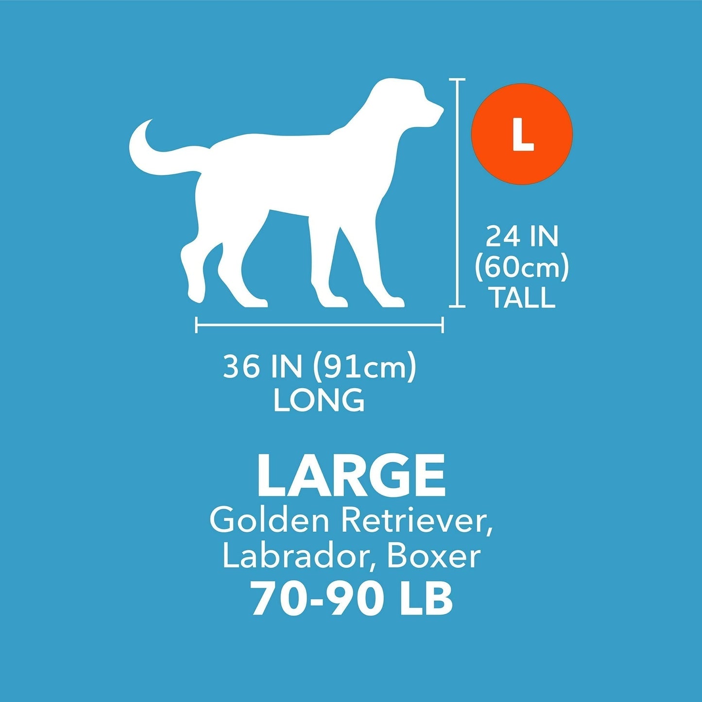 Vibrant Life Pet Kennel Large 40" Dog Crate, Plastic