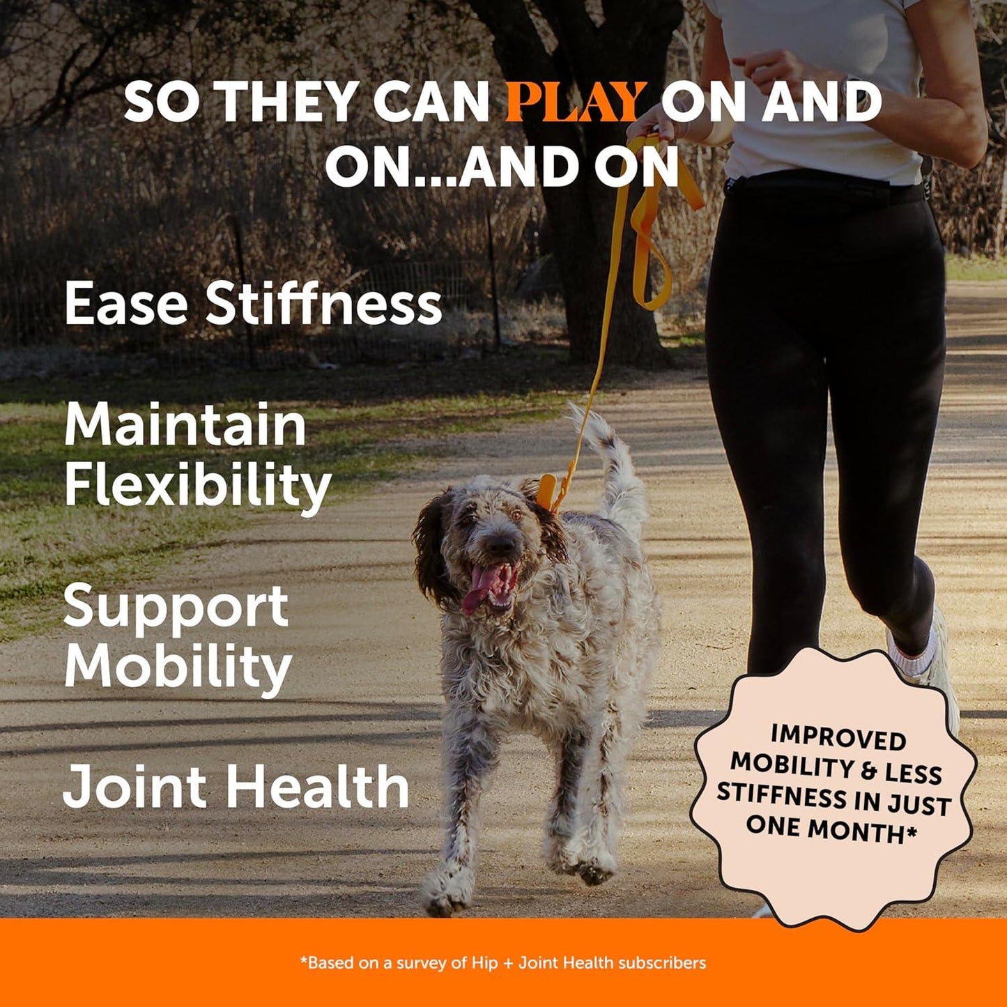 Hip & Joint Supplement - Chicken