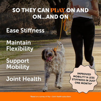 Hip & Joint Supplement - Chicken