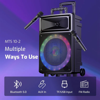 Seenda Karaoke Machine with 2 Wireless Microphones