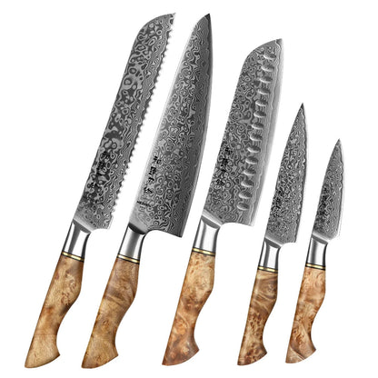 HEZHEN Damascus Knife Set – 5PCS Professional Chef, Santoku, Utility & Paring Knives