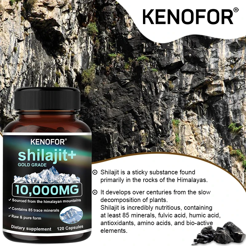 Himalaya Shilajit Capsules – Fulvic Acid