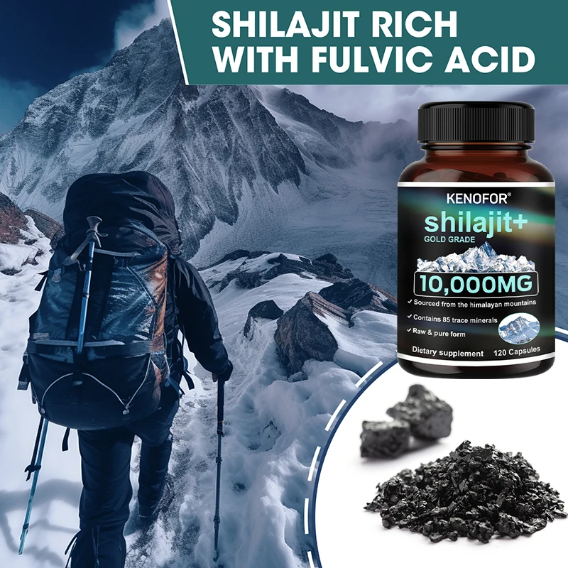 Himalaya Shilajit Capsules – Fulvic Acid