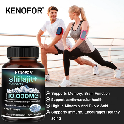 Himalaya Shilajit Capsules – Fulvic Acid