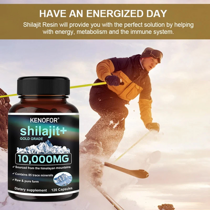 Himalaya Shilajit Capsules – Fulvic Acid