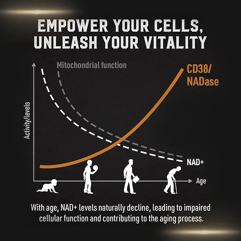 Liposomal NAD+ Supplement – Boost Cellular Energy