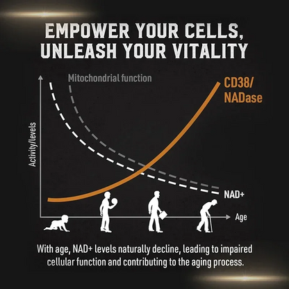 Liposomal NAD+ Supplement – Boost Cellular Energy