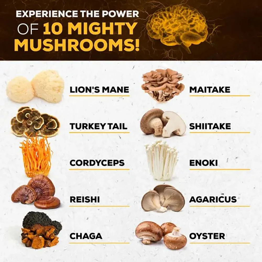 Mushroom Complex Supplement – 10x Strength Lions Mane
