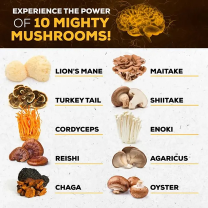 Mushroom Complex Supplement – 10x Strength Lions Mane