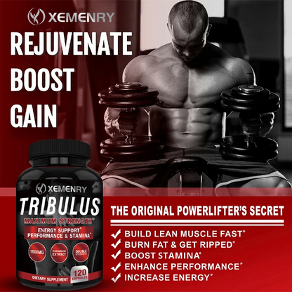 Tribulus Terrestris Capsules – Natural Testosterone