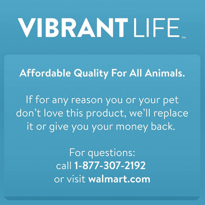 Vibrant Life Pet Kennel Large 40" Dog Crate, Plastic