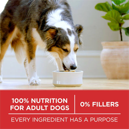Purina One Dry Dog Food for Adult Dogs High Protein,