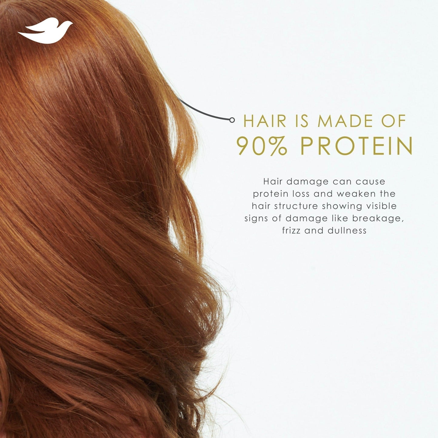 Dove Shampoo for Women Intensive Repair2