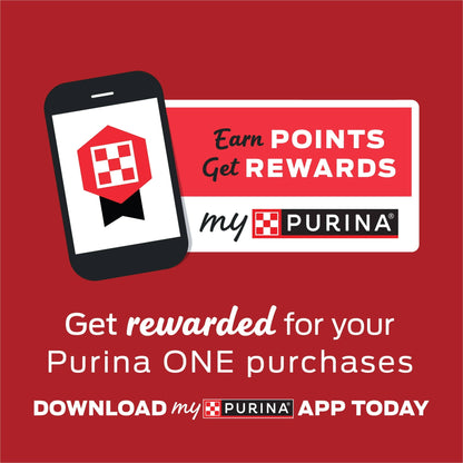 Purina One Dry Dog Food for Adult Dogs High Protein,