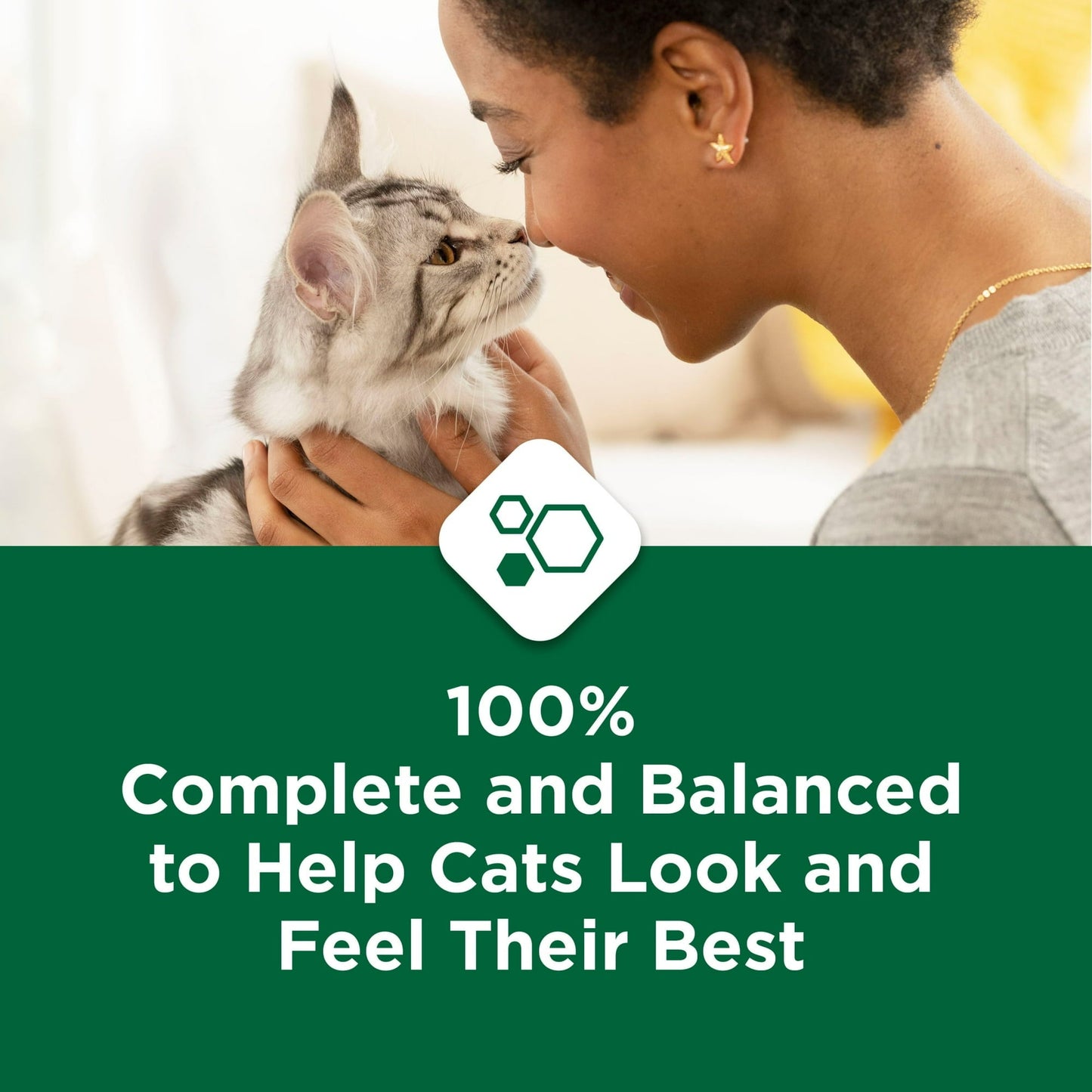 Purina Cat Chow Hairball & Healthy Weight