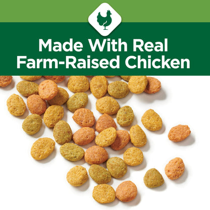 Purina Cat Chow Hairball & Healthy Weight