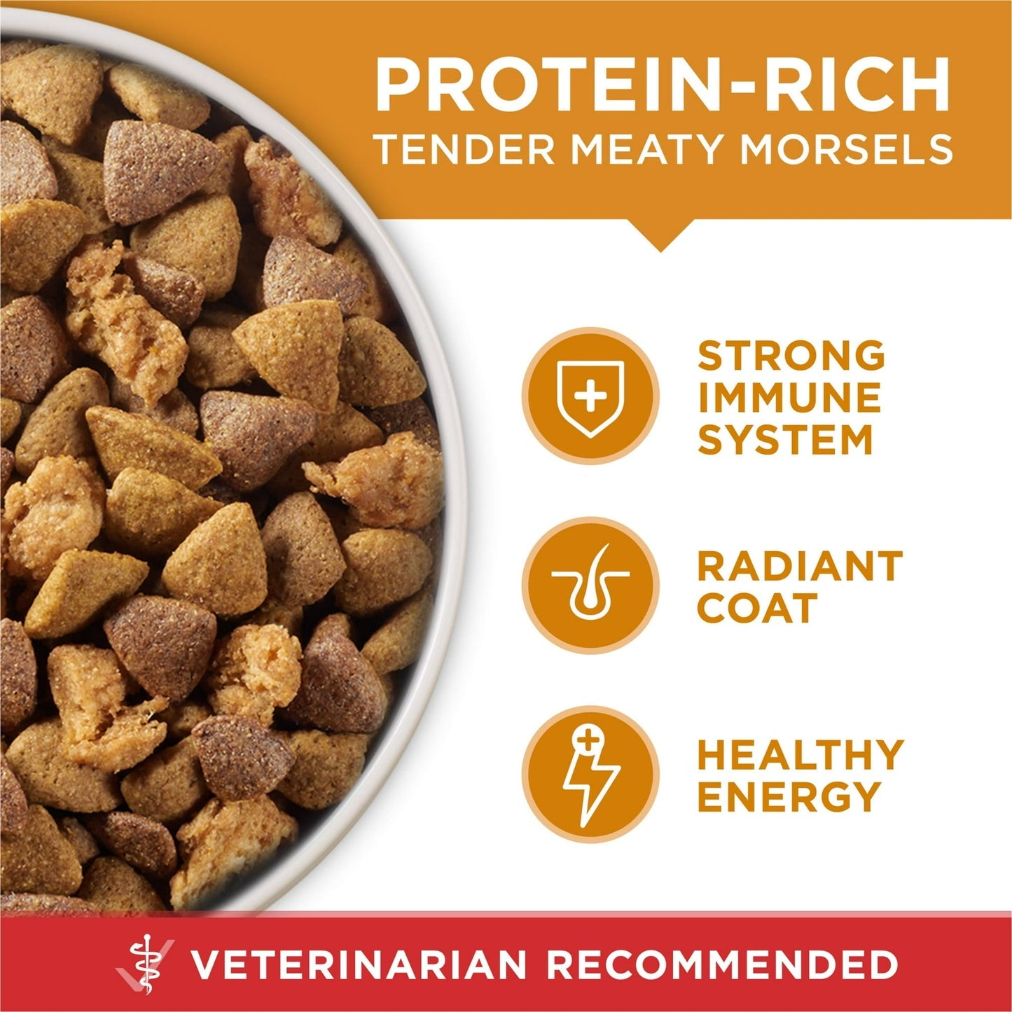 Purina One Dry Dog Food for Adult Dogs High Protein,