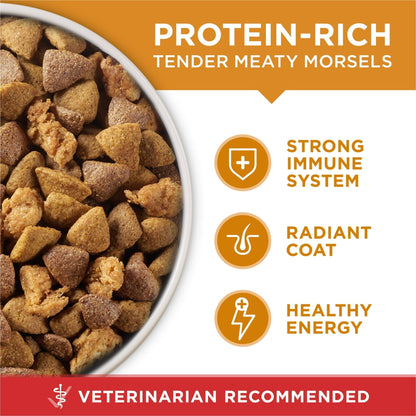 Purina One Dry Dog Food for Adult Dogs High Protein,